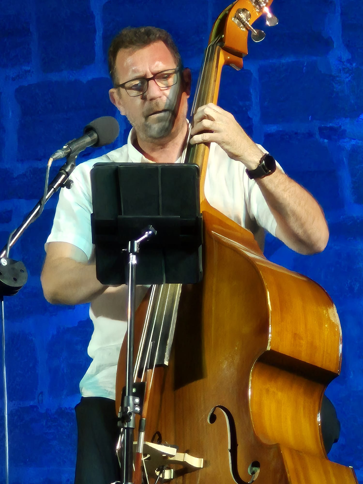 Antonio Miñán - Contrabajo